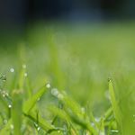 Notice (again) to Recaps Secondary Email List Subscribers